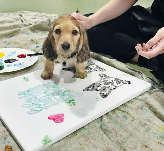 Puppy painting classes castle hill